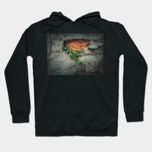 nature find its way Hoodie